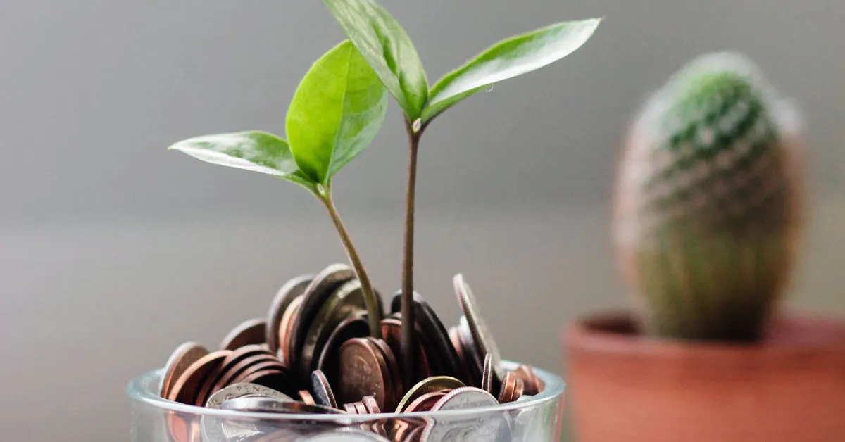A plant inside of a pot full of coins that represents the YMYL concept.